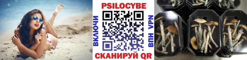 OMG ТОР  Великие Луки  Псилоцибиновые грибы мухоморы  где продают  